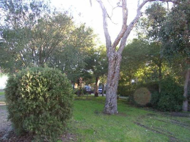 The Avenue, Mccrae VIC 3938