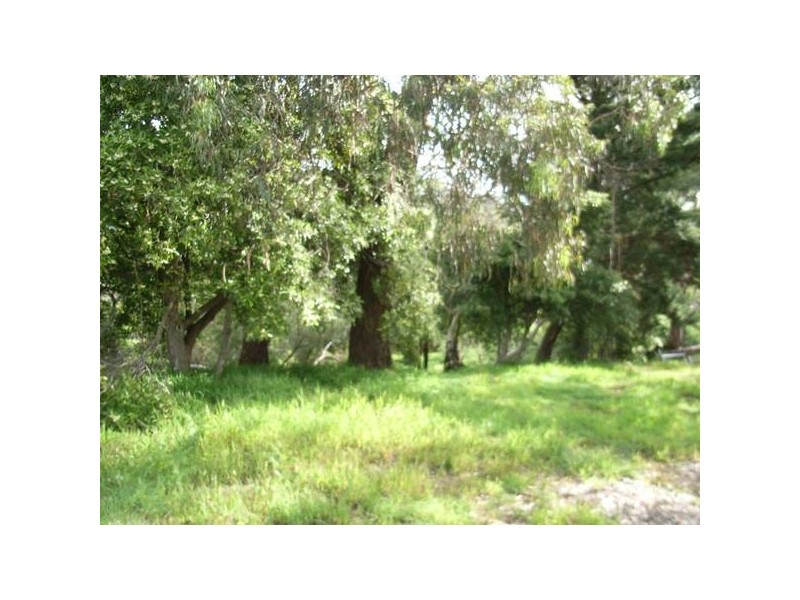 12 Arthurs Avenue, Mccrae VIC 3938