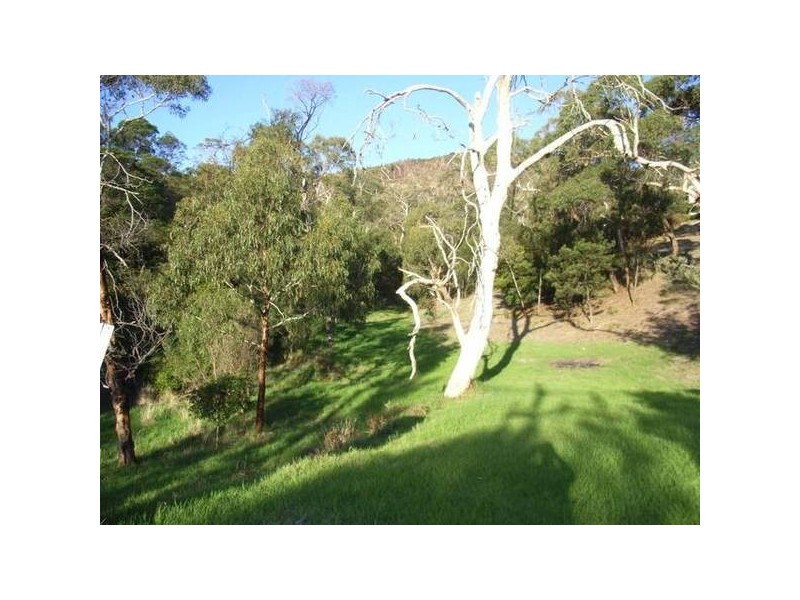 17 Arthurs Avenue, Mccrae VIC 3938