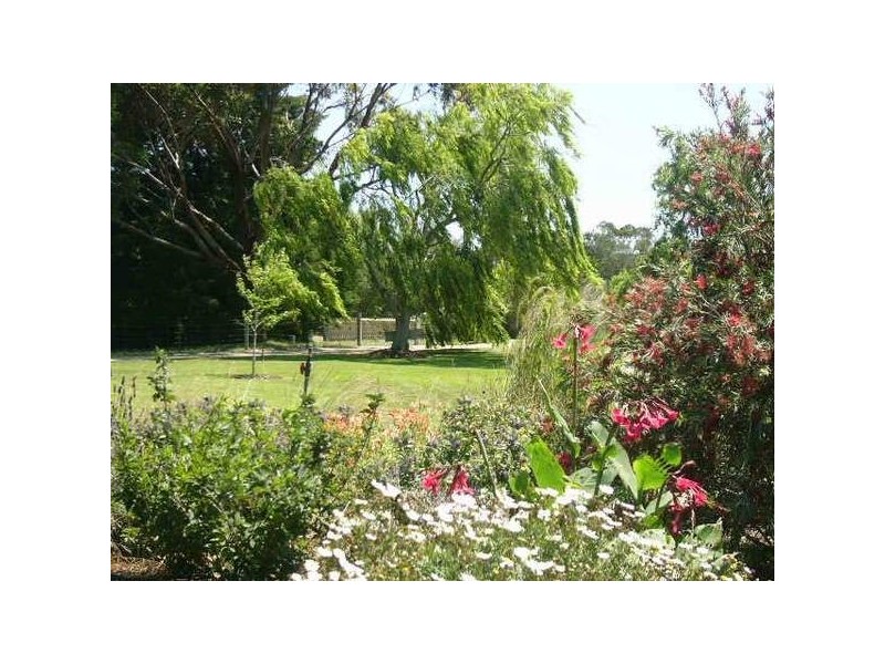 31 Sandy Road, Boneo VIC 3939