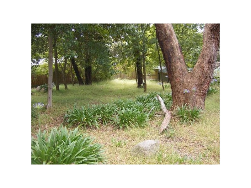 16 Dorothy Court, Mccrae VIC 3938