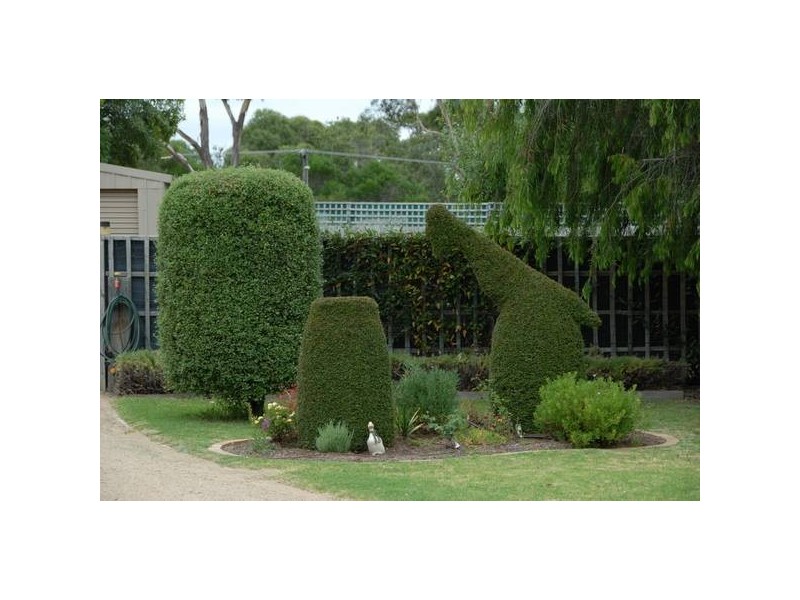 37 & 39 Nixon Street, Rosebud VIC 3939