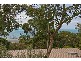 14 The Boulevard, Mccrae VIC 3938