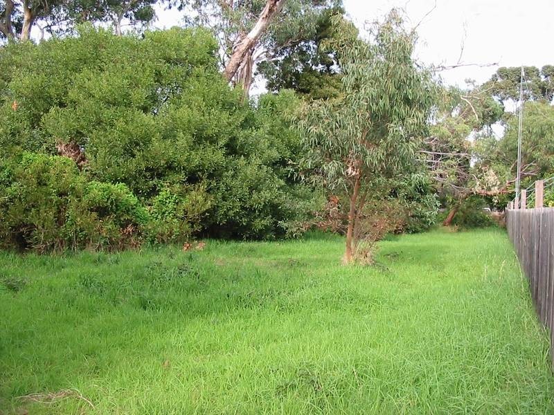 65 Sunningdale Avenue, Rosebud VIC 3939