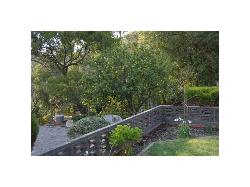 36 The Boulevard, Mccrae VIC 3938