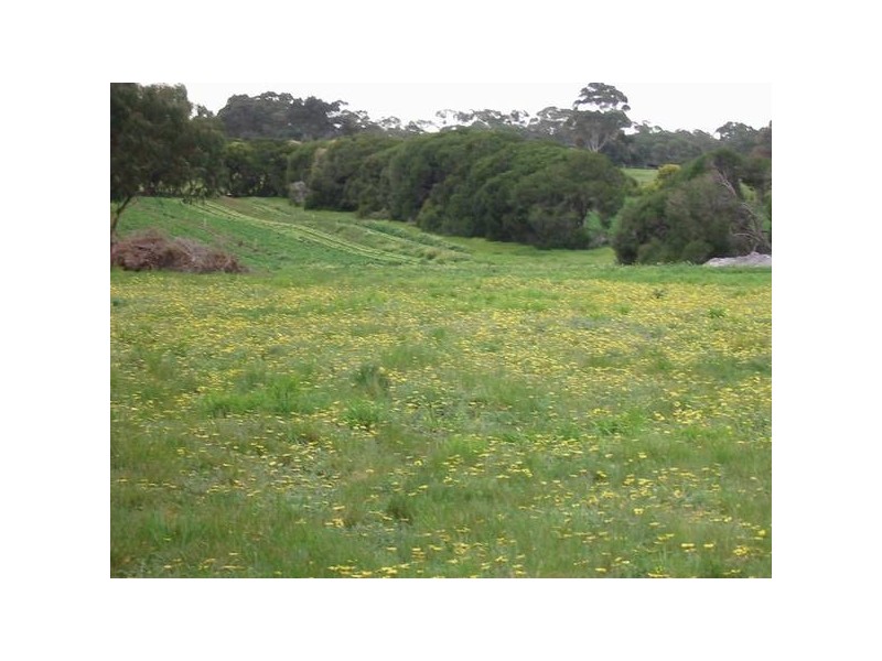 297 Old Cape Schank Road, Boneo VIC 3939