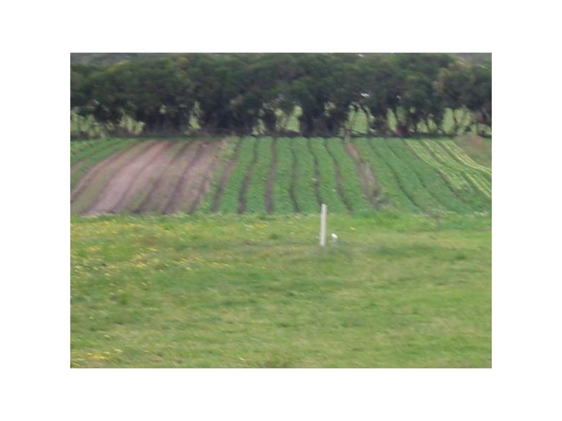 297 Old Cape Schank Road, Boneo VIC 3939