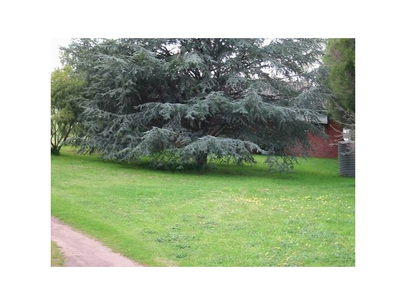 297 Old Cape Schank Road, Boneo VIC 3939