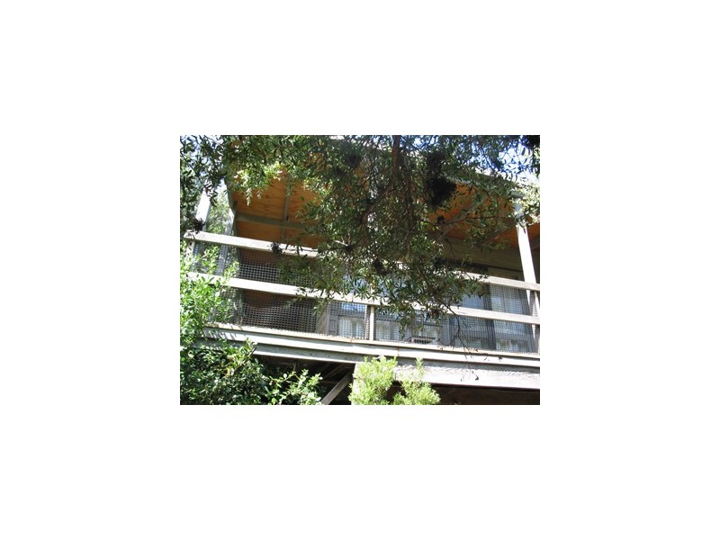 123 Avon Road, Rye VIC 3941