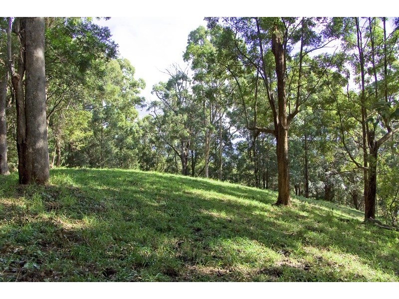 13 Cobaki road, Cobaki NSW 2486