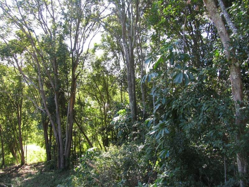 Lot 5, 38 Curtawilla Street, Banora Point NSW 2486