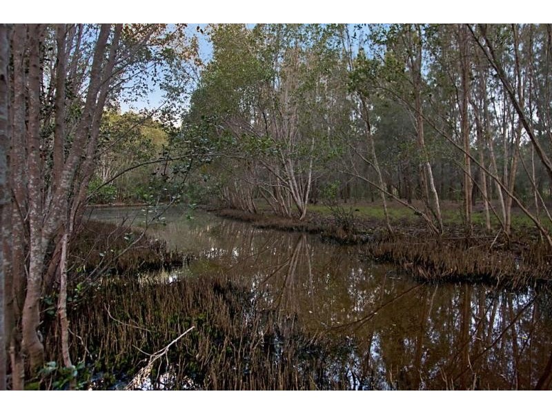 Lot 2,  Piggabeen Road, Piggabeen NSW 2486