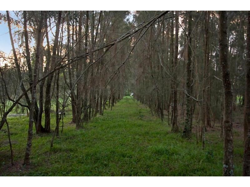 Lot 2,  Piggabeen Road, Piggabeen NSW 2486