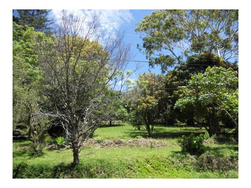 23 Parkes Lane, Terranora NSW 2486