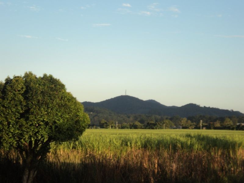 201 Tweed Valley Way, Murwillumbah NSW 2484