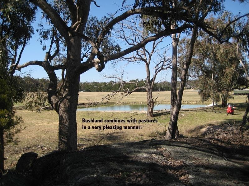 3 McGrath Lane, Stanthorpe QLD 4380