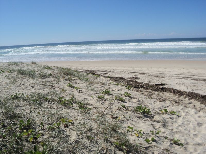 2/232 Marine Parade, Kingscliff NSW 2487