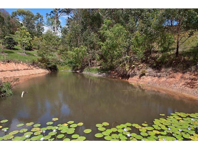 51 Jabiru Drive, Piggabeen NSW 2486