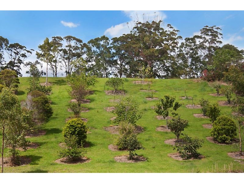 51 Jabiru Drive, Piggabeen NSW 2486