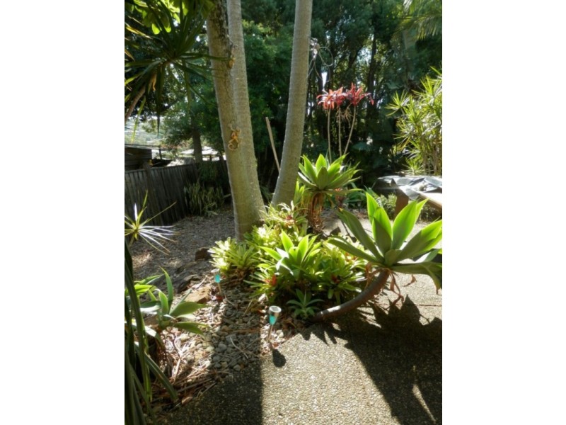 1/67 Glen Ayr Drive, Banora Point NSW 2486