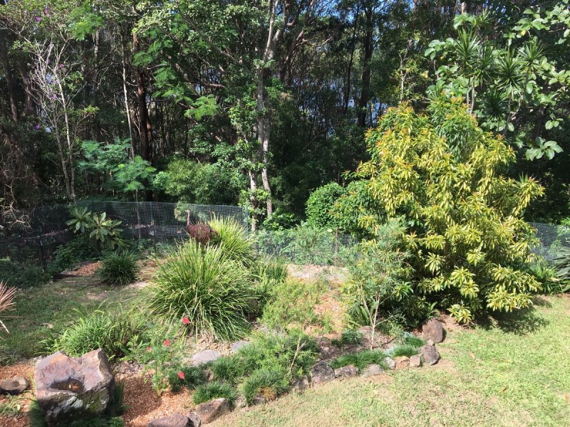 85 Peninsula Drive, Bilambil Heights NSW 2486