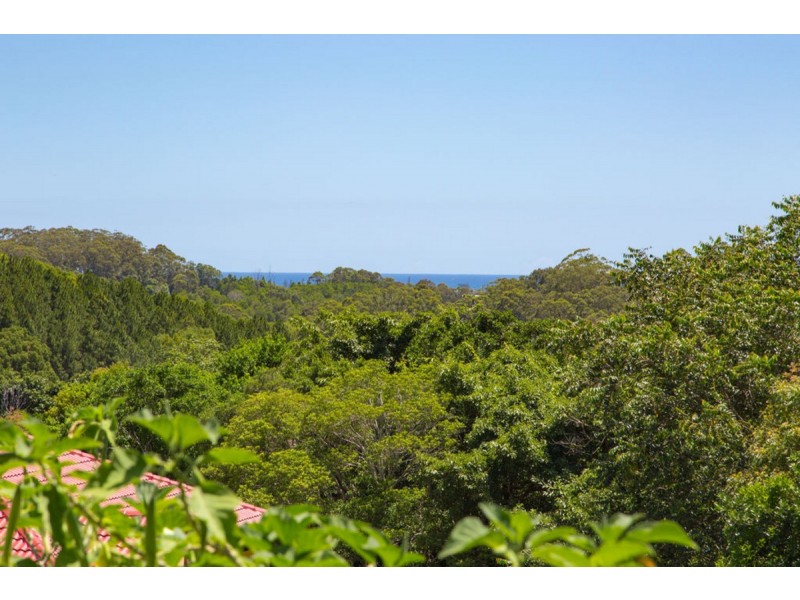 17 Malua Terrace, Bilambil Heights NSW 2486