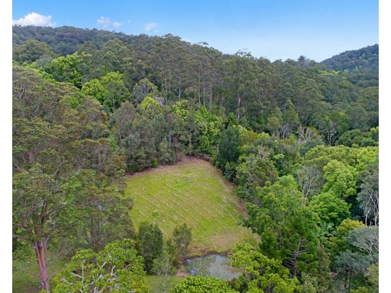 190 Hazelbrook Road, Uki NSW 2484
