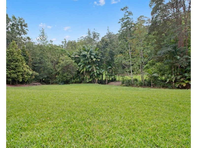 190 Hazelbrook Road, Uki NSW 2484