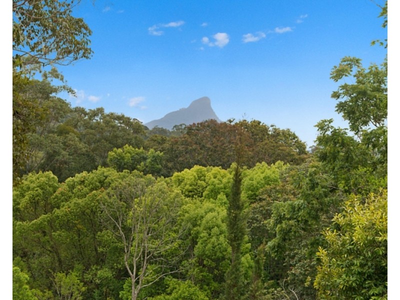 190 Hazelbrook Road, Uki NSW 2484