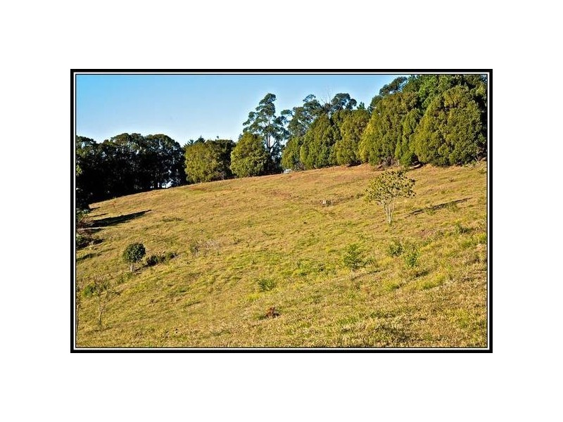 150 Mayes Hill Rd, Tumbulgum NSW 2490