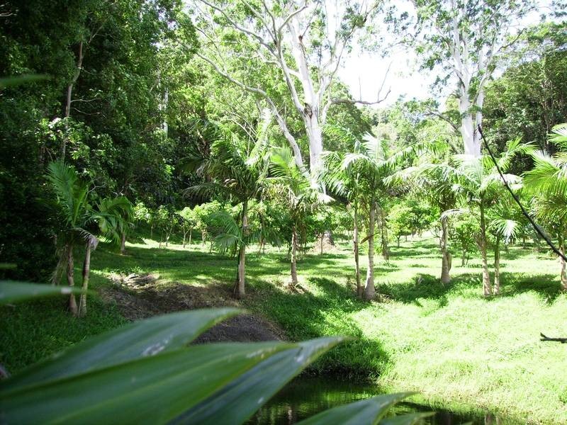 72 Howards Road, Burringbar NSW 2483