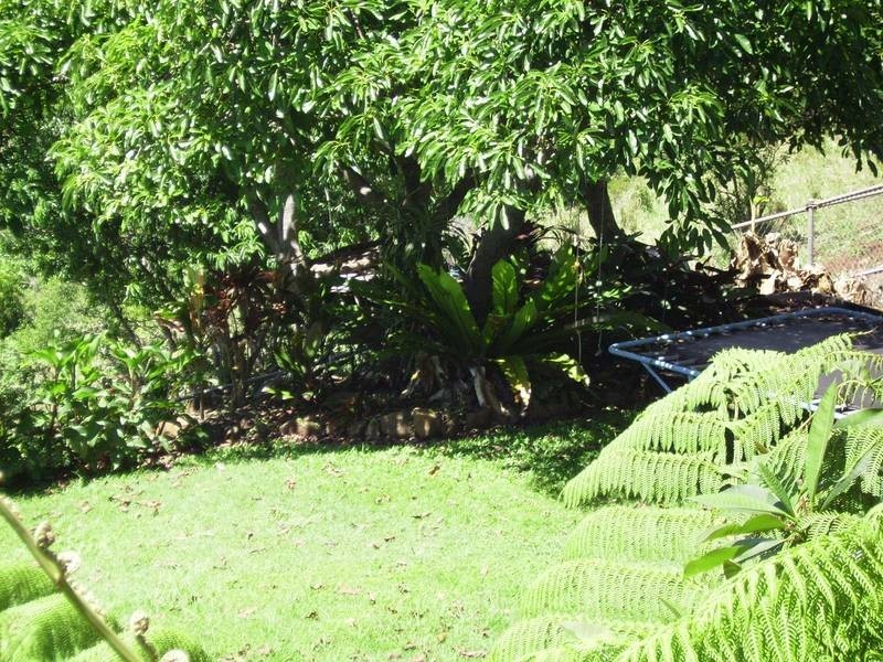 3 Broadwater Esplanade, Bilambil Heights NSW 2486