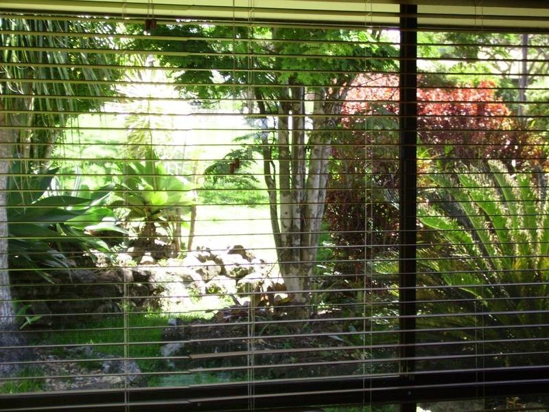 3 Broadwater Esplanade, Bilambil Heights NSW 2486