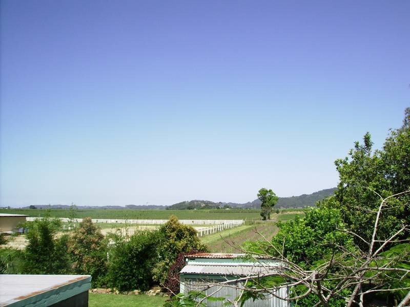 58 McLeod Street, Condong NSW 2484