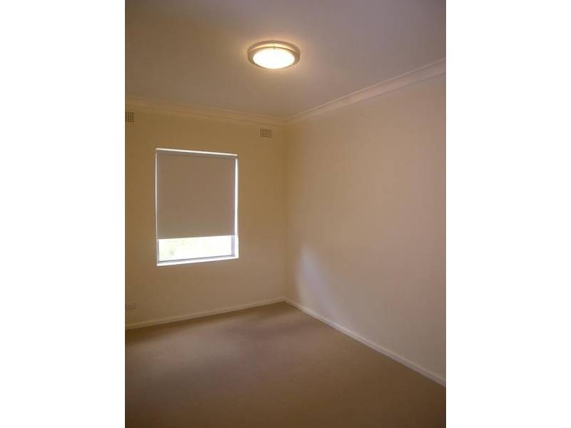 15 Andover Street, Carlton NSW 2218