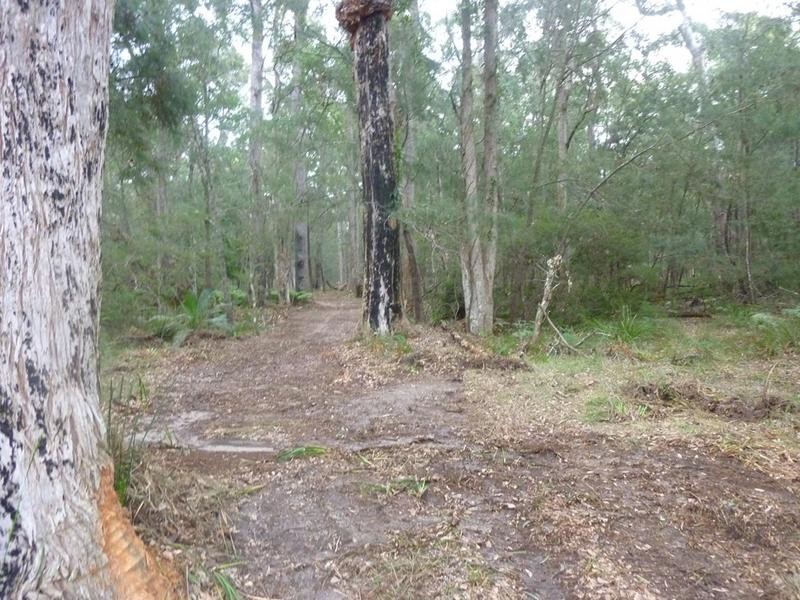 Lot 24,  Jeremadra Drive, Jeremadra NSW 2536