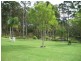 2 Roseby Drive, Rosedale NSW 2536