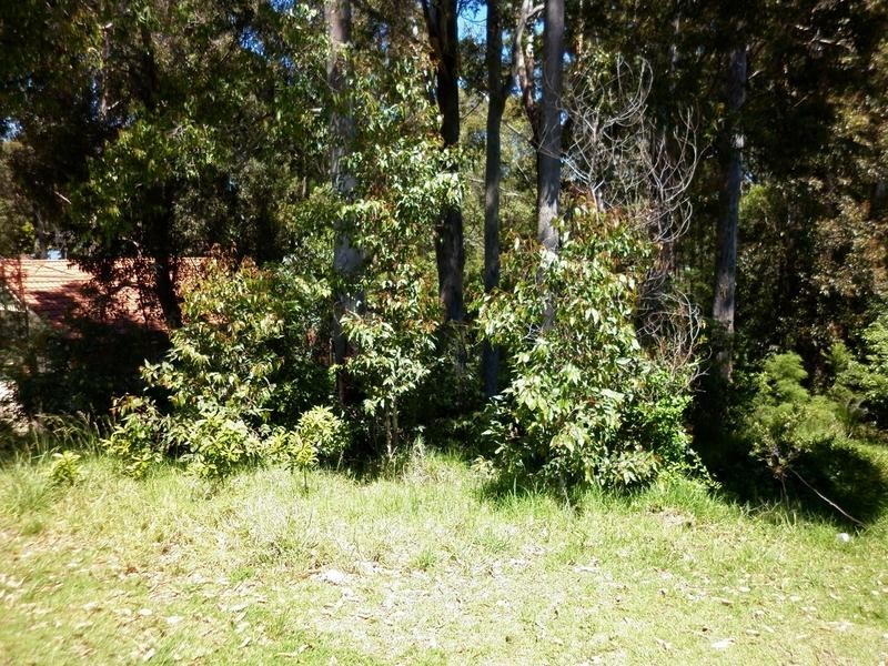 12 Kennedy Crescent, Denhams Beach NSW 2536