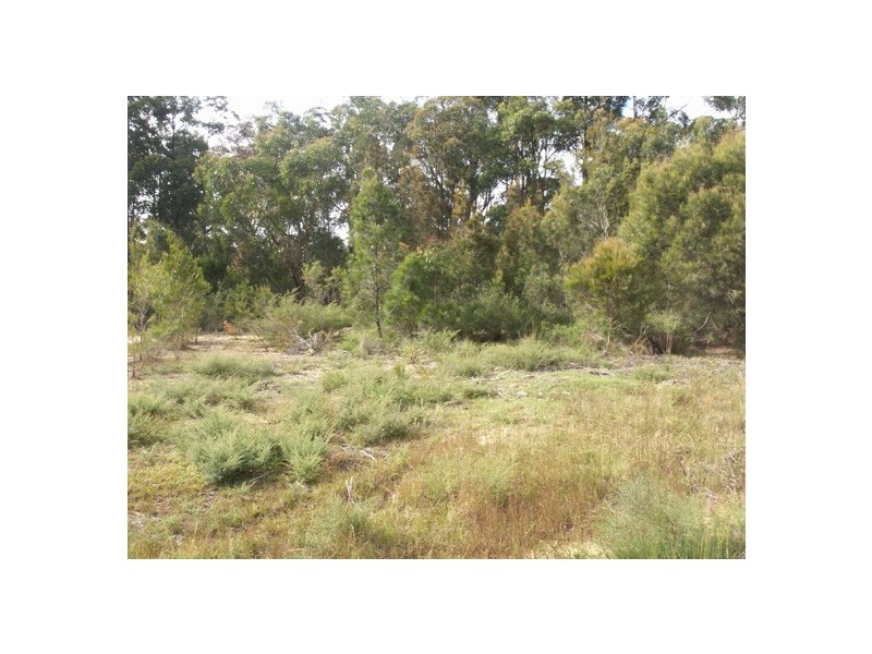 Lot 11,  Princes Highway, Bimbimbie NSW 2536