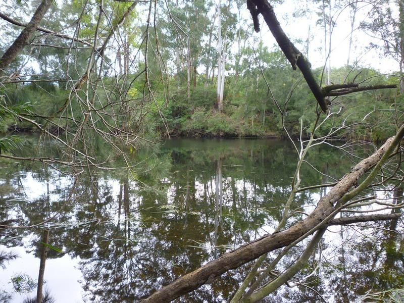 104A Backhouses Road, Nelligen NSW 2536