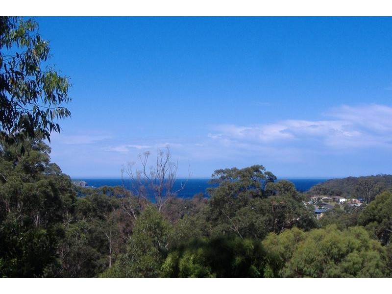 8 Figtree Close, Surf Beach NSW 2536