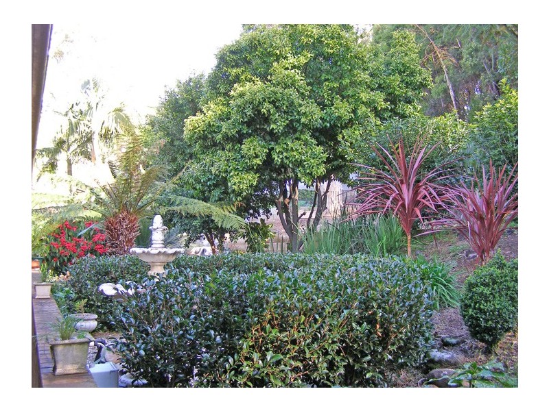 8 Figtree Close, Surf Beach NSW 2536