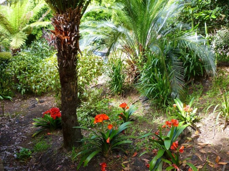 8 Figtree Close, Surf Beach NSW 2536