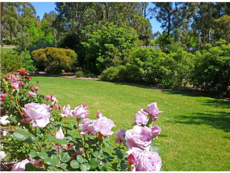 3 Riverlink Road, Mossy Point NSW 2537