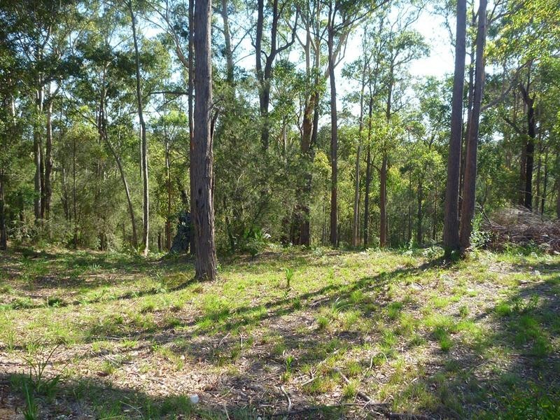 8 Burri Palm Way, Surfside NSW 2536