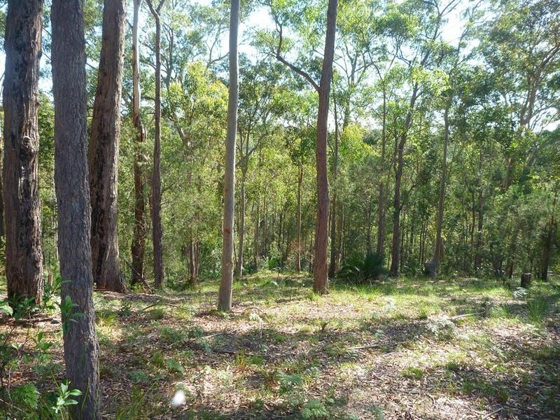 8 Burri Palm Way, Surfside NSW 2536