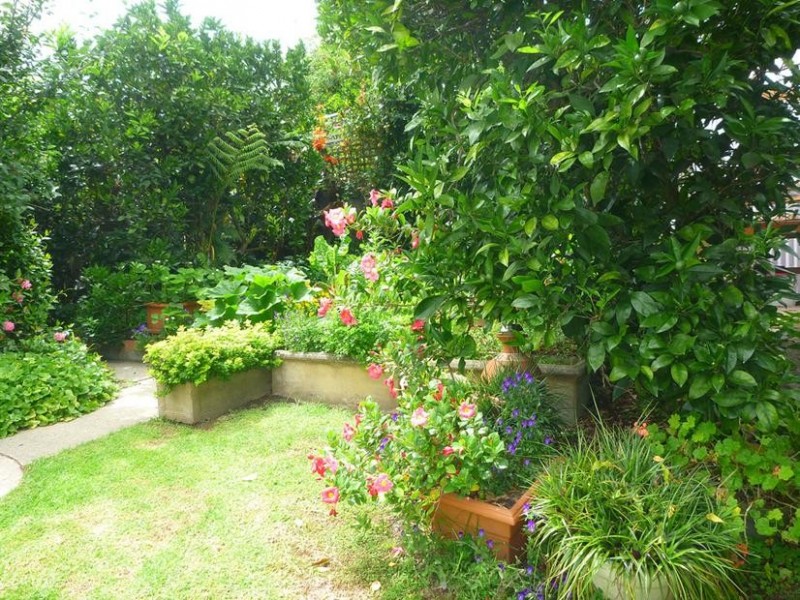 1 Vista Avenue, Catalina NSW 2536