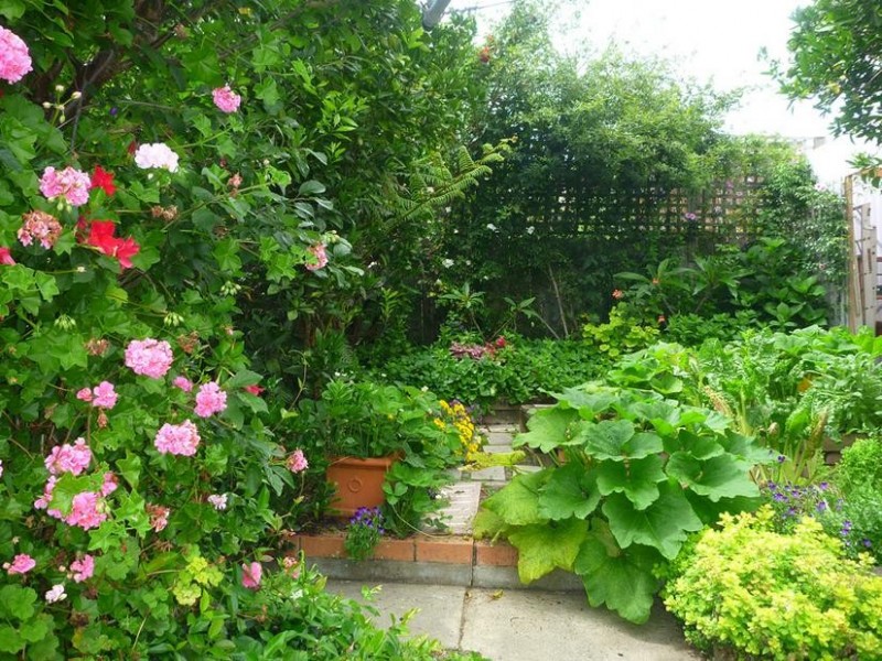 1 Vista Avenue, Catalina NSW 2536