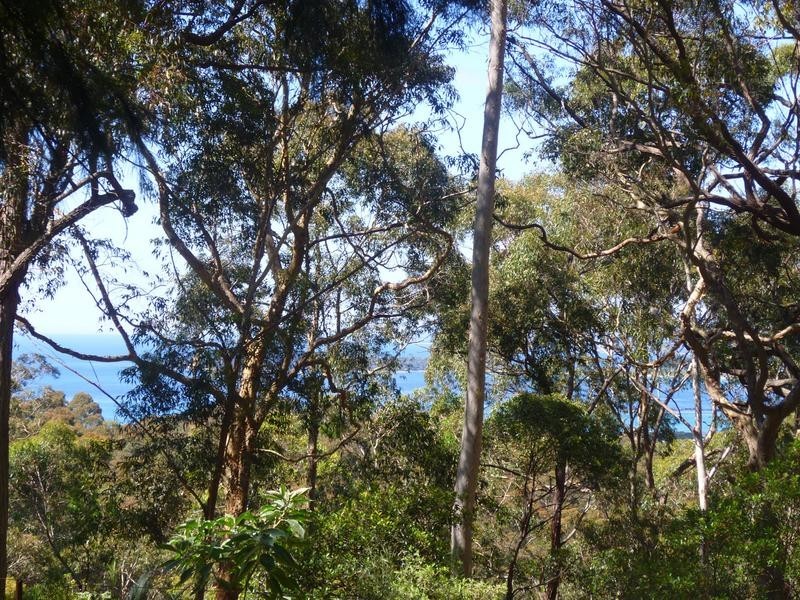 14 Barlings Drive, Tomakin NSW 2537