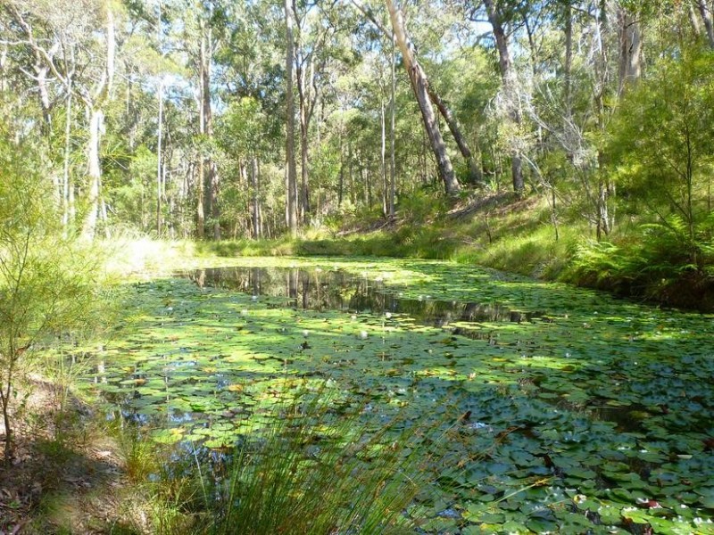 14 Barlings Drive, Tomakin NSW 2537